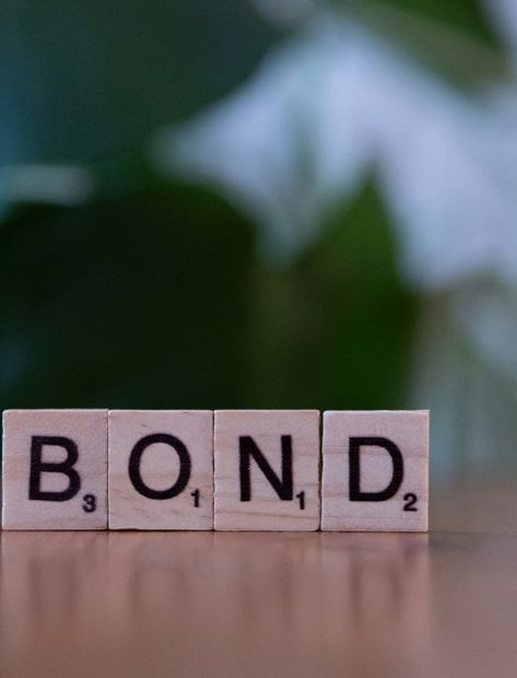 Joint bonds and shared property ownership